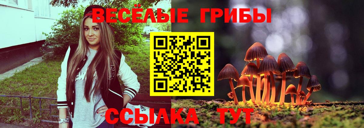 Псилоцибиновые грибы Psilocybe  Вход с VPN  Псилоцибиновые грибы мухоморы  Новокубанск 
